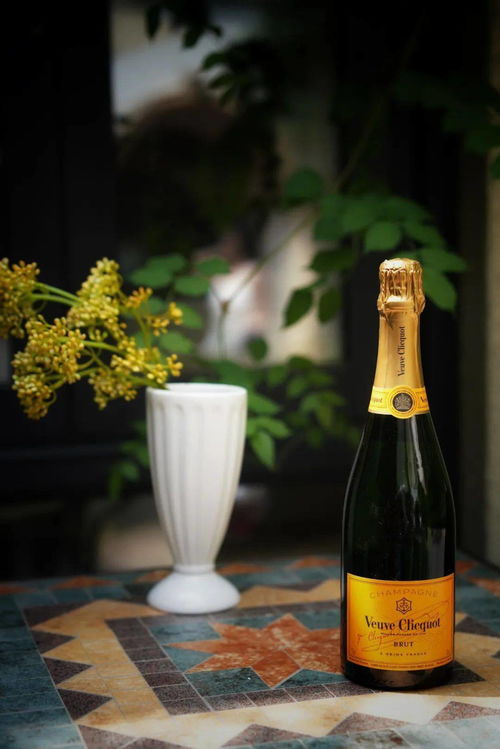 杯酒人生 ▏想和你一起喝杯夏日小酒